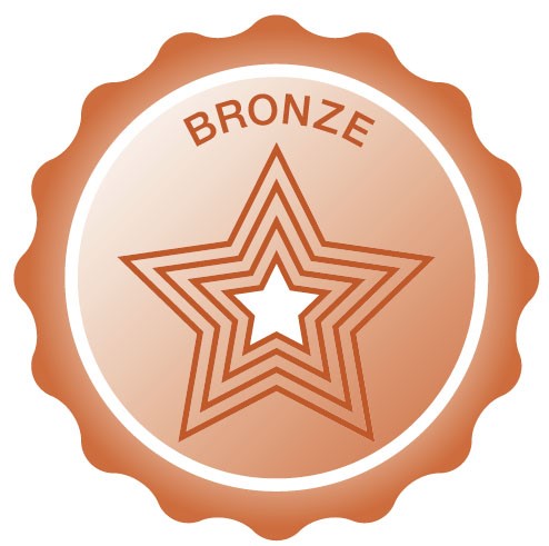 Achievement Badge Bronze