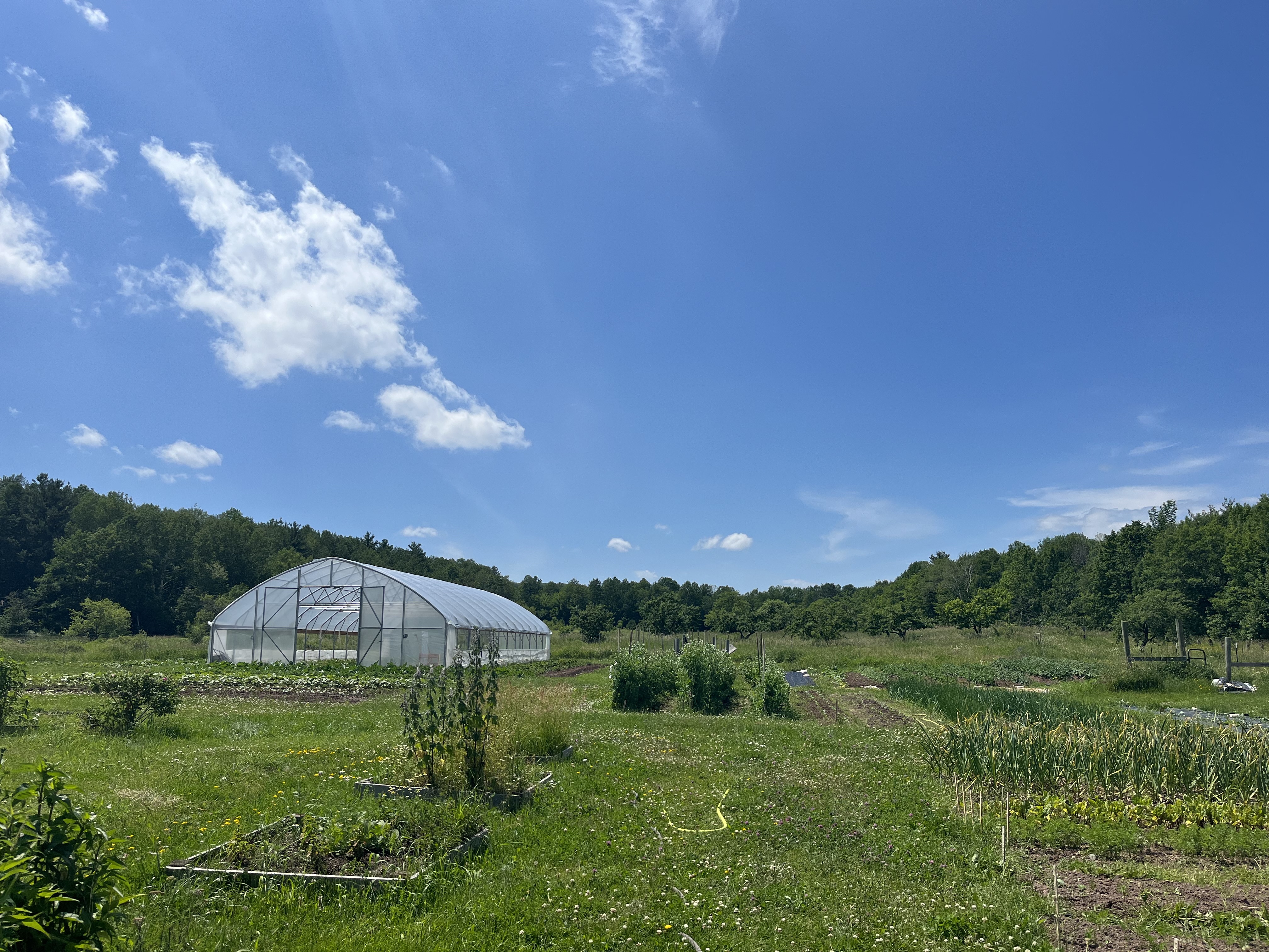 photo of the Mino Bimaadiziiwin Farm