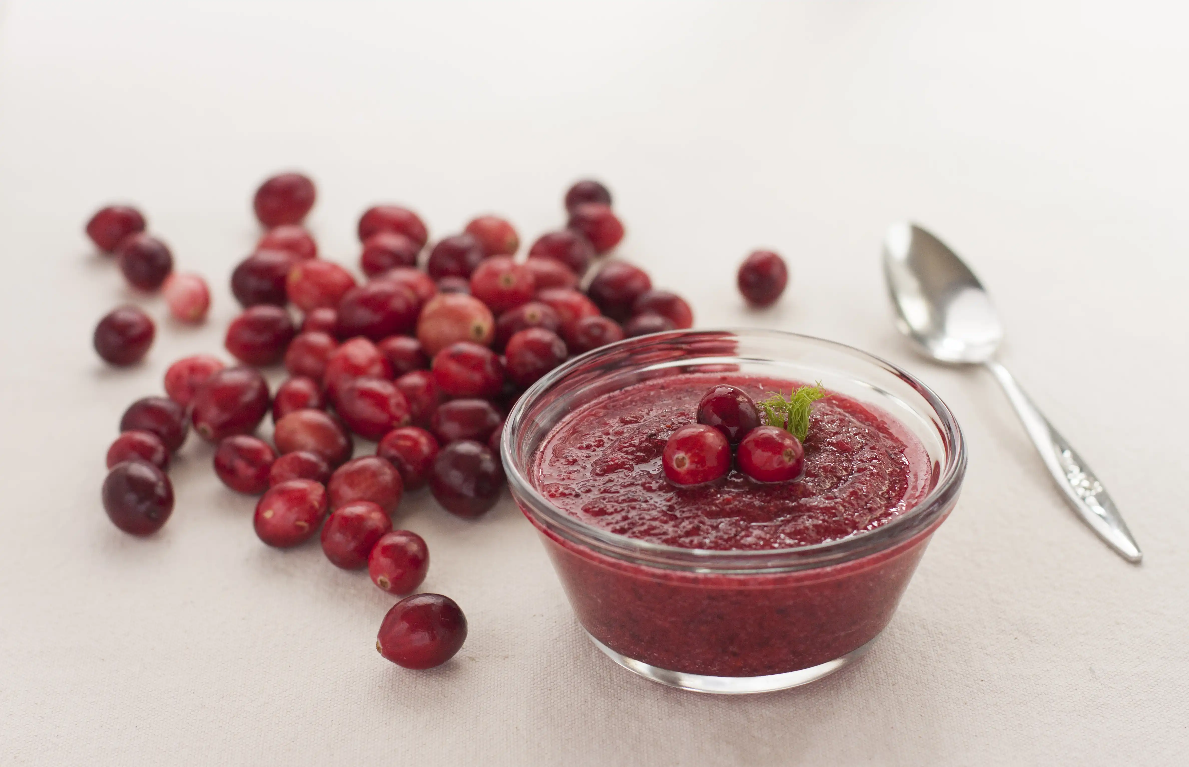 bowl of cranberry sauce surrounded by whole cranberries