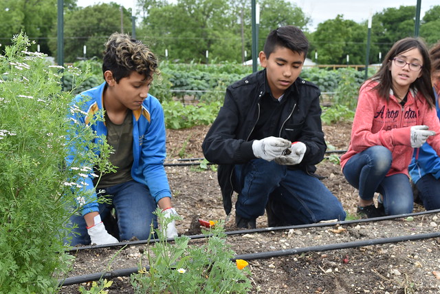 USDA Kicks Off Summer Meals