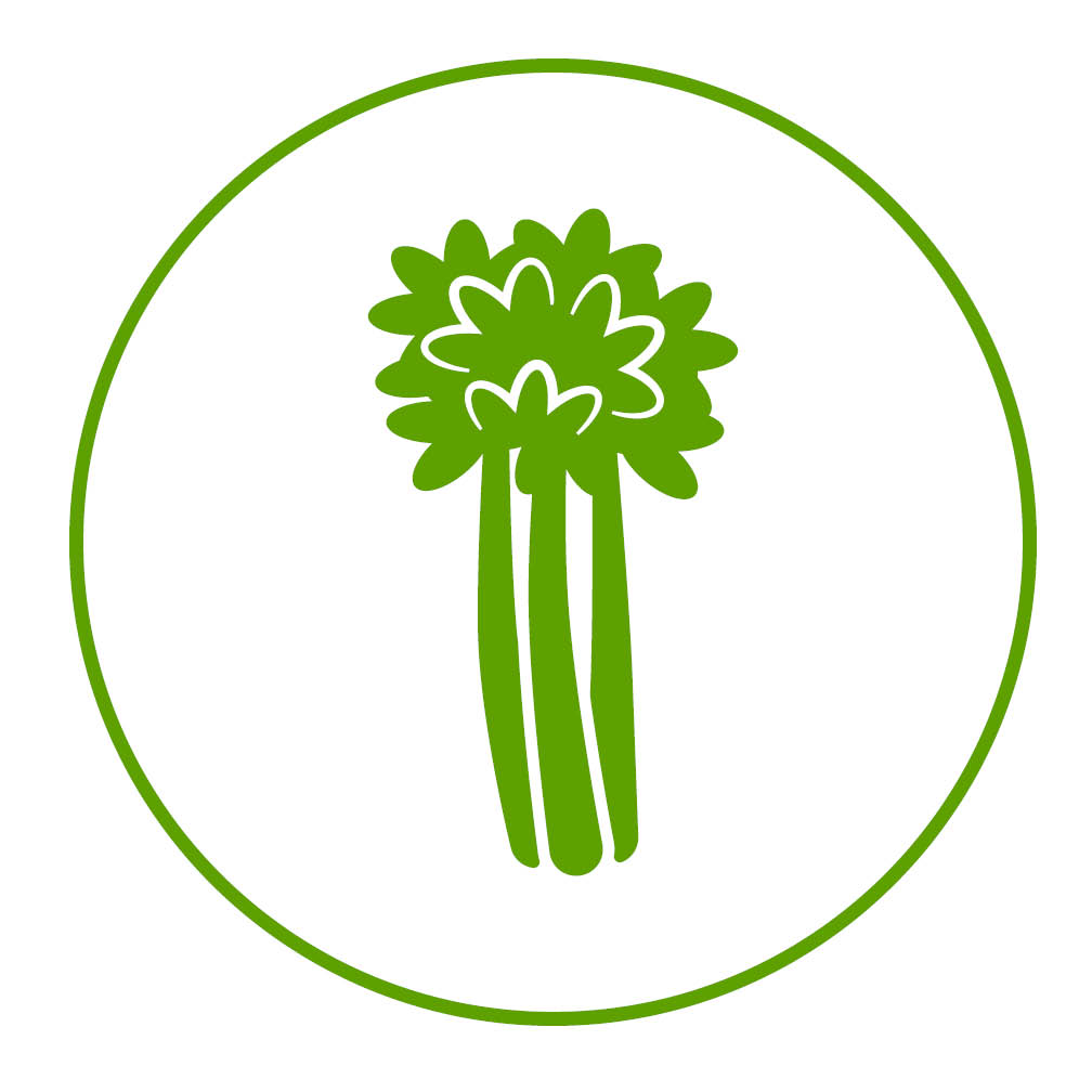 celery icon in a circle