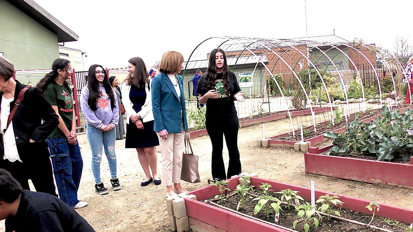 students standing around a school garden