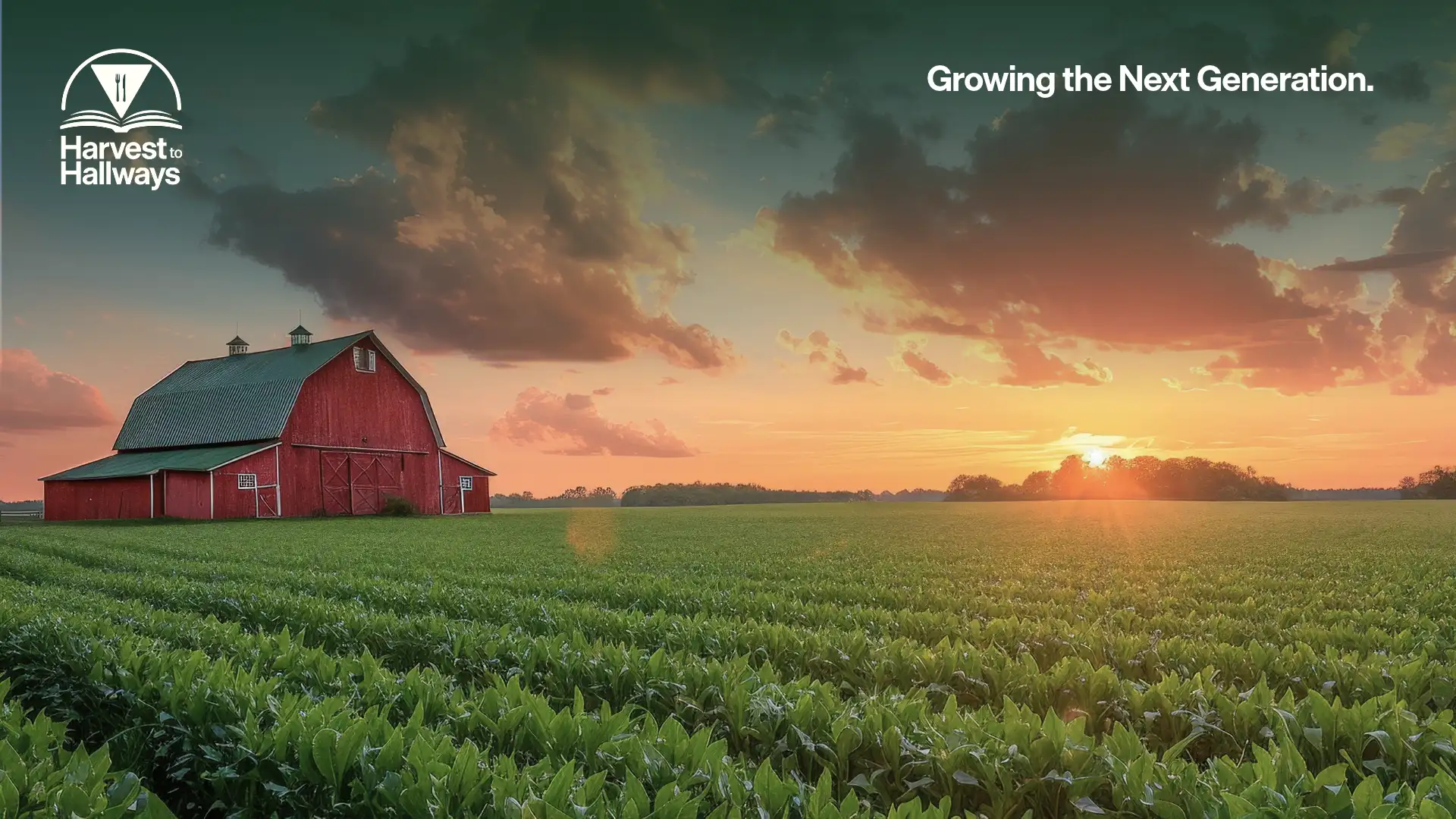 Harvest to hallways on a farm sunrise scene