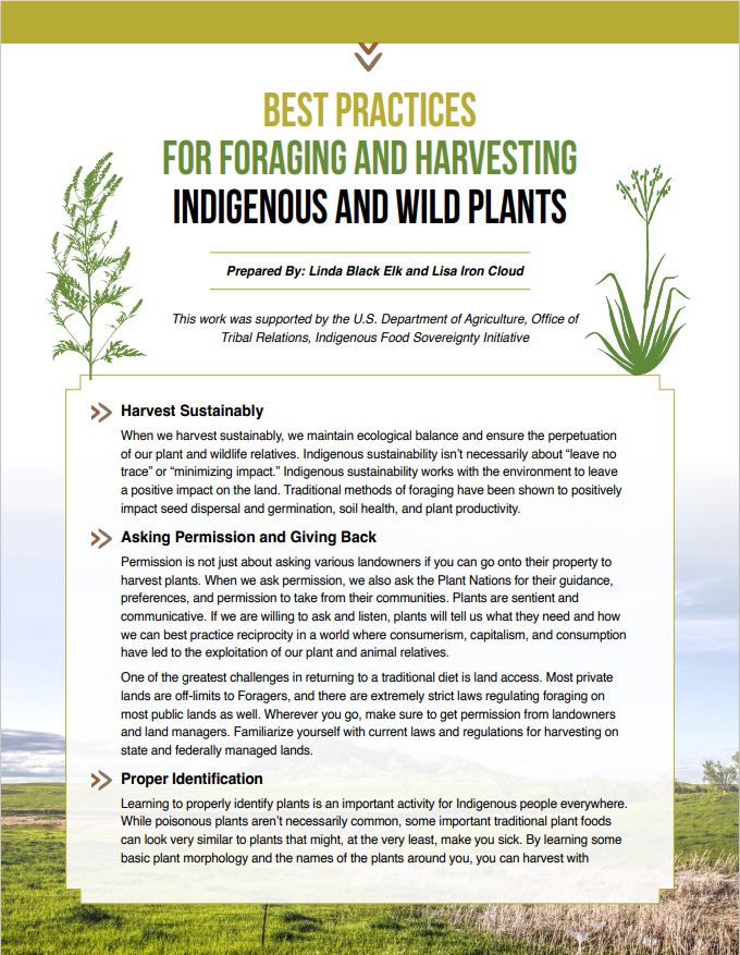 Best Practices for Foraging and Harvesting Handout