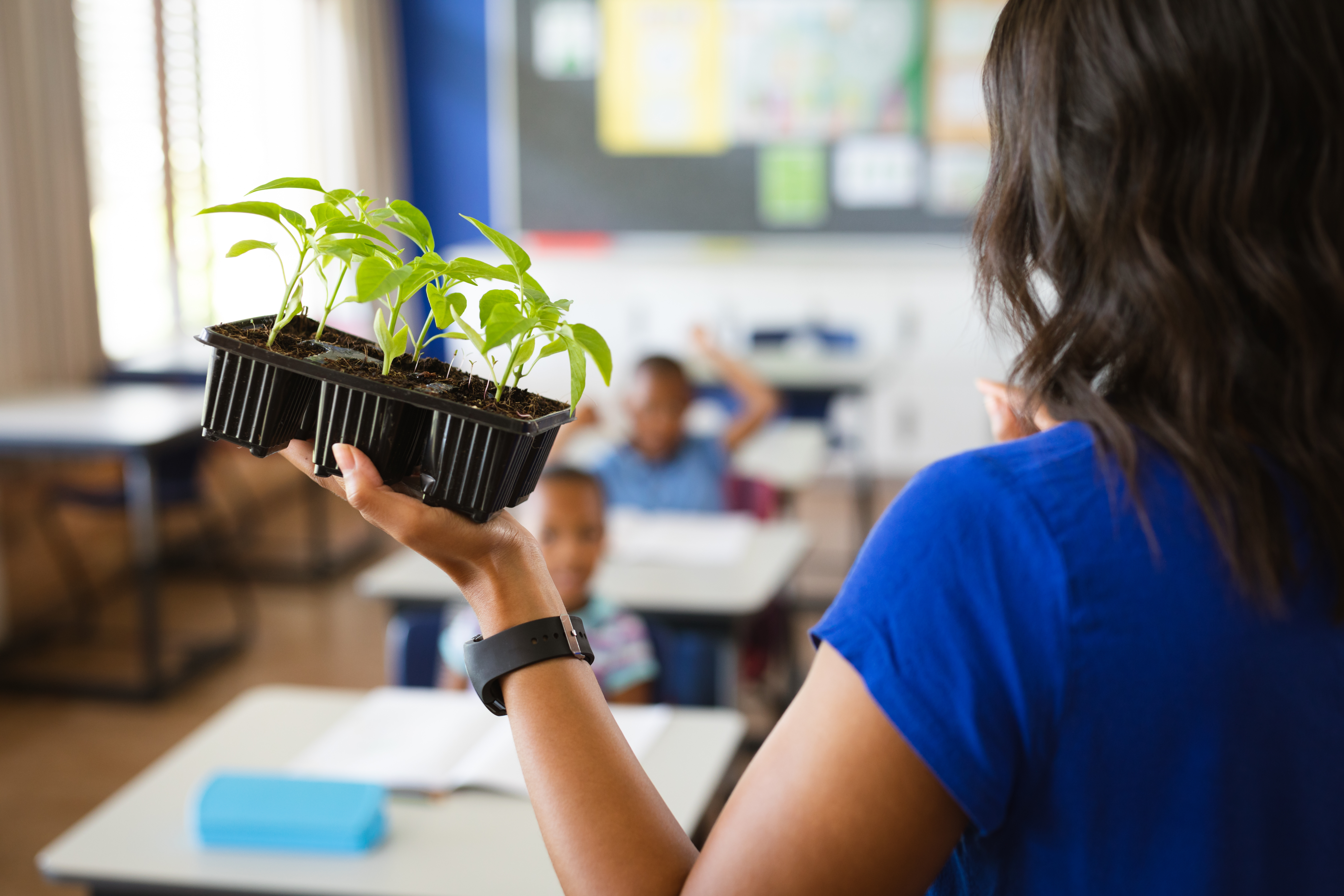 teacher holding plants