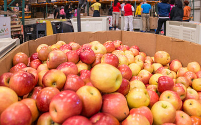 image of a bin of apples in a food warehouse