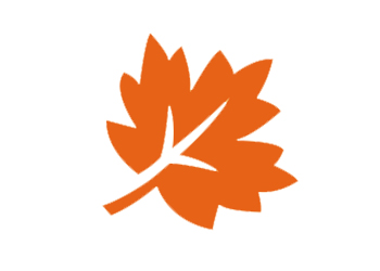 an orange leaf