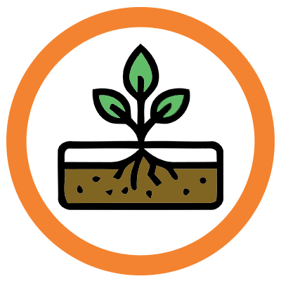 small plant growing in a container