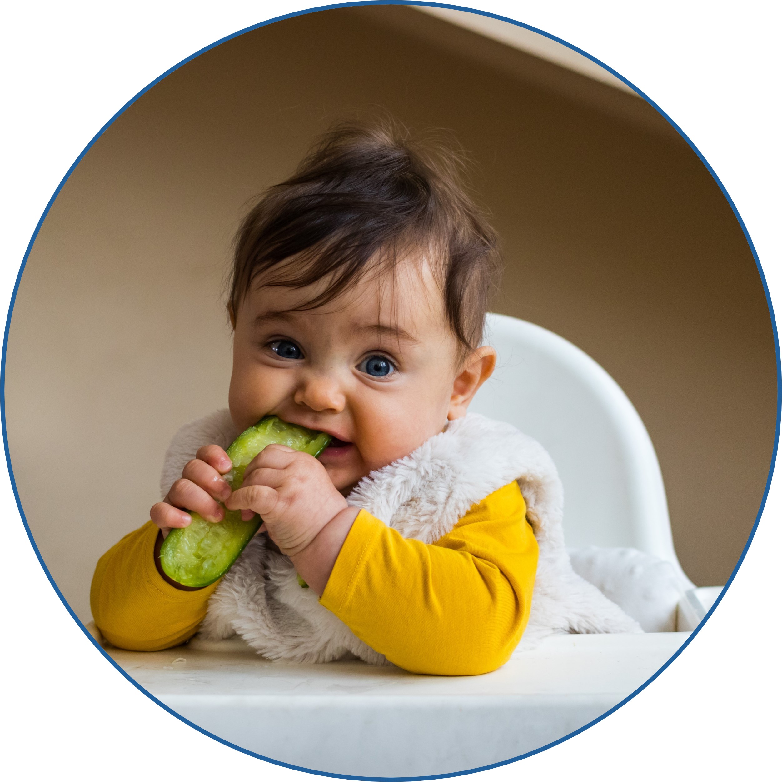 Child eating a cucumber.