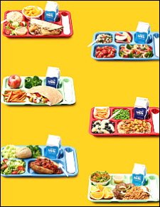 School Meal Trays