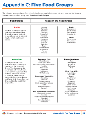 Appendix C: Five Food Groups