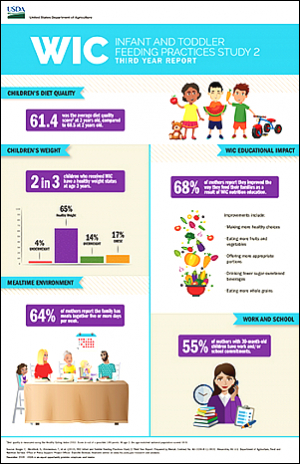 WIC Infant and Toddler Feeding Practices Study-2: Third Year Report