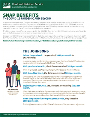 SNAP Benefits Infographic