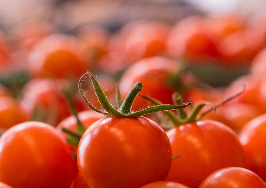 cherry tomatoes