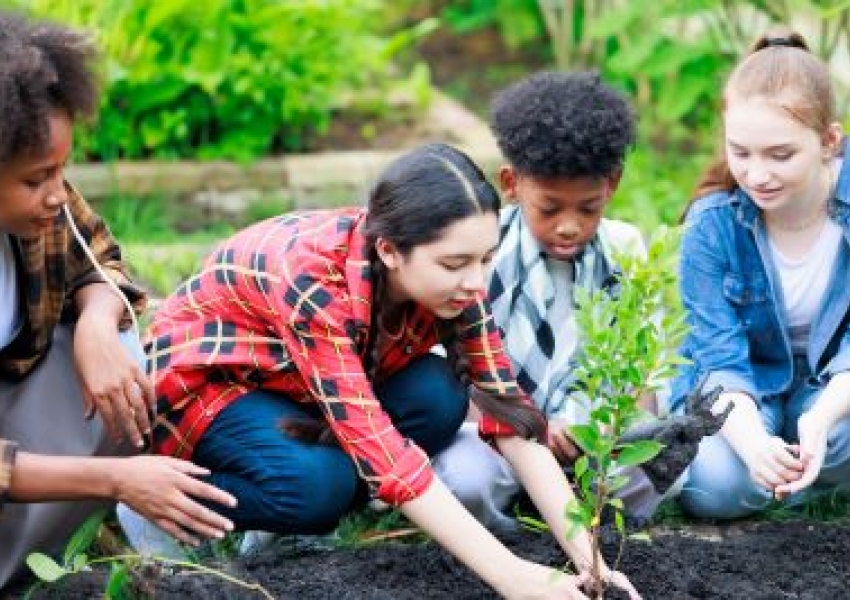 a group of students planting in a school garden