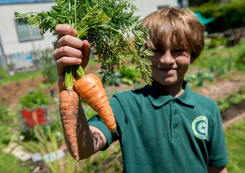 boy with carrots