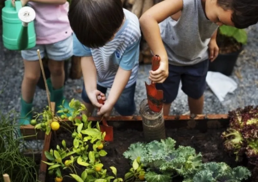 Kids Gardening