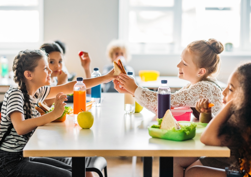 Food Safe Schools