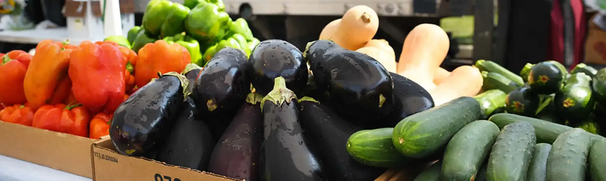 peppers, eggplants, and cucumbers on a table