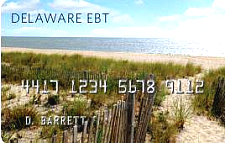 Delaware Program Card