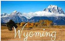 Wyoming EBT Card