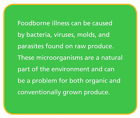 Foodborne illness can be caused  by bacteria, viruses, molds, and  parasites found on raw produce.  These microorganisms are a natural  part of the environment and can  be a problem for both organic and  conventionally grown produce.