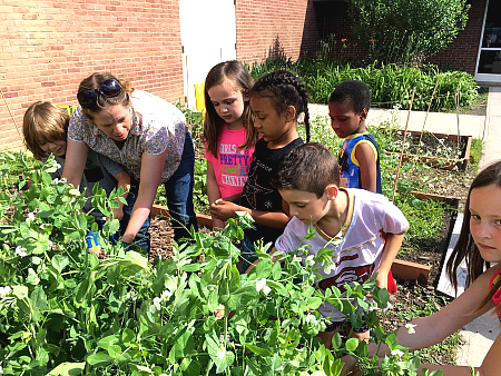 Children working in the school garden