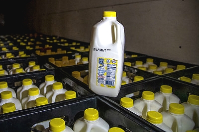 a quart of milk sitting on top of crates full of milk quarts in a truck