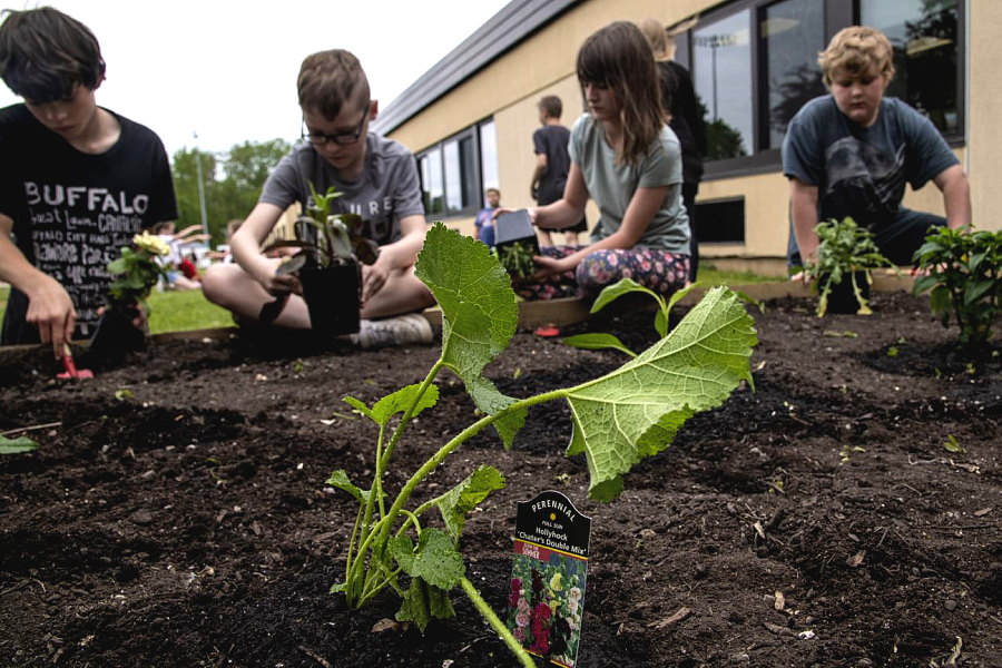 Farm To School Champions Needed