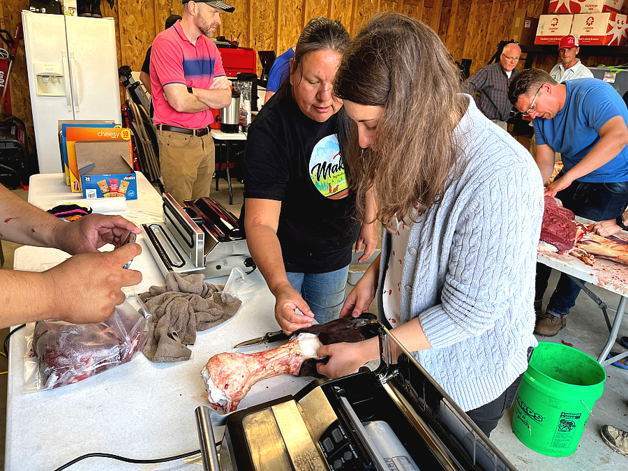 Tribal Nations buffalo slaughter